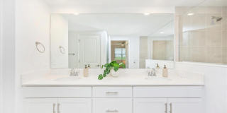 12620 RADIANCE Court Gallery 31