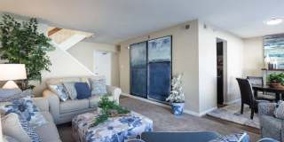Grand Lake Gallery 8