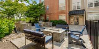 Sofi Lyndhurst Gallery 40