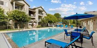 Island View Apartments Gallery 12