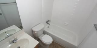 Linden Park Gallery 6