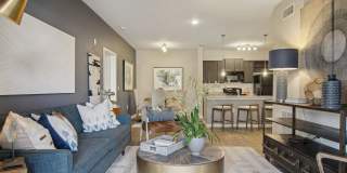 Dream Asheville Exchange Gallery 13