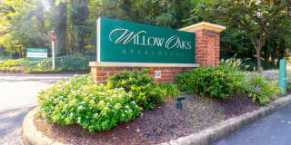 Willow Oaks Gallery 43