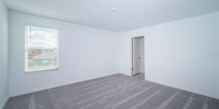 22310 BLAZING STAR RUN Gallery 23