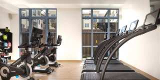 Springline Menlo Park Gallery 43