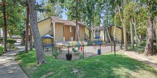 Trails San Dimas Gallery 60