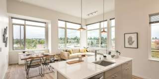 Janus Janus Gallery 11