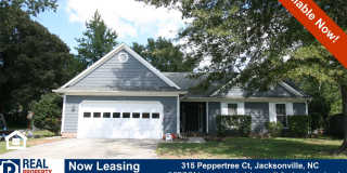 3 BD/2 BA Home on Cul-de-Sac w/Fireplace, Fenced Yard, Attached Garage Near Camp Lejeune Gallery 1