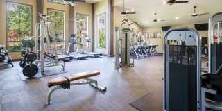 Northgate Oaks Gallery 42