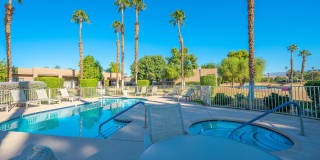 28984 Desert Princess Drive Gallery 15