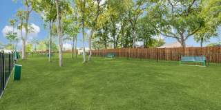 Remi West Dallas Remi West Dallas Gallery 22