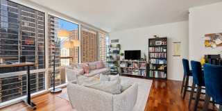 505 N McClurg Court Gallery 6