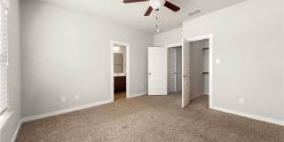 561 CREEKSIDE Forest Gallery 9