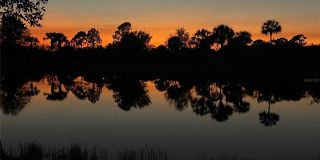 13551 SALINAS STREET Gallery 48