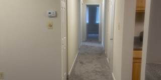 Hewitt Gardens Gallery 50