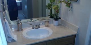 Walden Pond Gallery 9