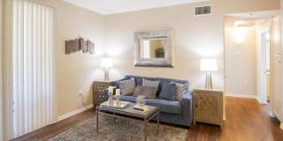 Vista Pointe Gallery 31