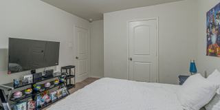 2831 Lavender Gallery 13