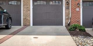 42243 CANARY GRASS Square Gallery 1