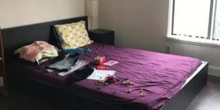 2126 Pauline Boulevard Gallery 5