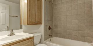 Olde Forge Gallery 4