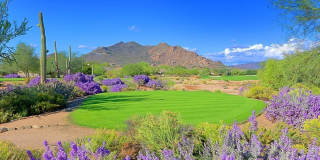 33690 N 71ST Way Gallery 85