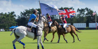 900 Cosmos Court Gallery 43