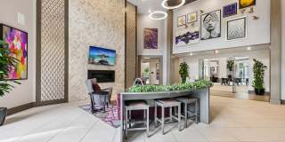 The Addison at Universal Boulevard Gallery 11