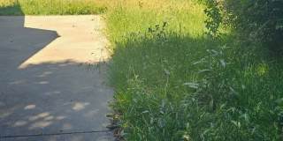 Summer Field Area Gallery 37