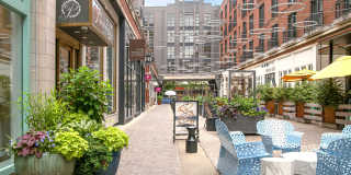 Ellis Bethesda Gallery 22