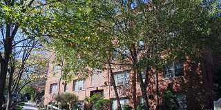 Yuma Gardens Gallery 4