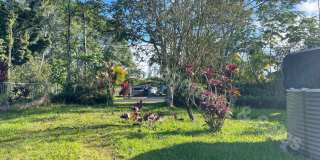 1-Bedroom Home in Ainaloa Gallery 13