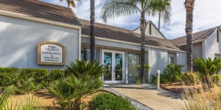 Palm Court Apartment Homes Gallery 13