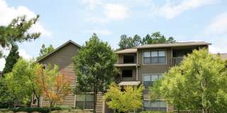Park Trace Apartments Gallery 10