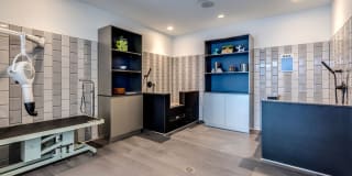 Ren Gallery 50