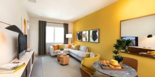 770 South Harbor Gallery 4