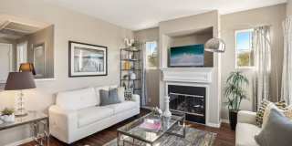 Venicia Gallery 79