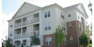 22706 BLUE ELDER Terrace Gallery 3