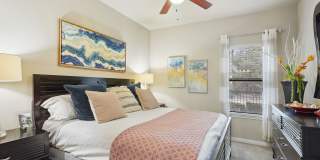 Platinum Shavano Oaks Gallery 26