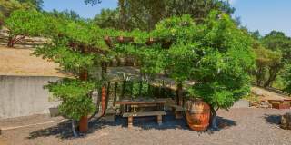 2491 Spring Mountain Road Gallery 51