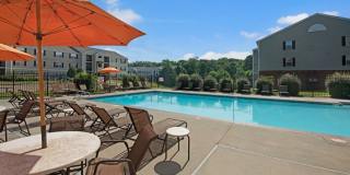 Mallside Forest Gallery 10