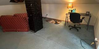 305 Maryland Avenue - Available June! Gallery 19