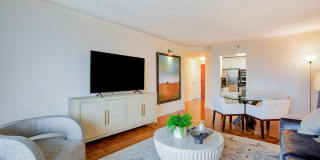 Windsor at Mariners Gallery 19