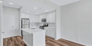 The Cosmopolitan at Reston Town Center Gallery 9