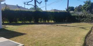 Cozy Remodeled 3 Bedroom Home In Culver City! Cozy Remodeled 3 Bedroom Home In Culver City! Gallery 18