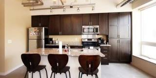 The Elysian Gallery 92