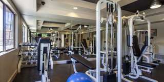 Rock Ridge Apartments Gallery 15