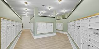 The Rowley Gallery 47