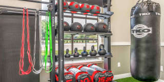 MacAlpine Place Gallery 35