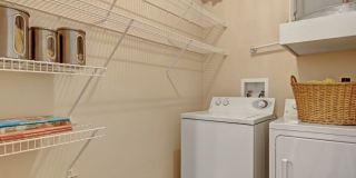 Stoneleigh at the Reserve Gallery 19